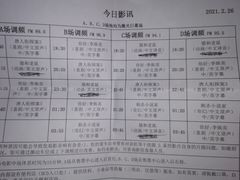 -枫花园汽车电影院(朝阳公园店)