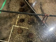 -元代水闸遗址博物馆