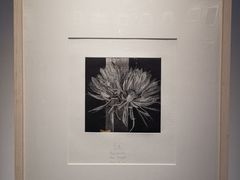 -上海虹桥当代艺术馆