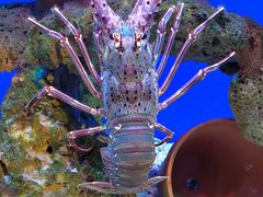 -海合安武汉极地海洋公园
