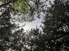 -仙居谷风景区