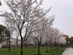 -中共上海市委党校 上海行政学院