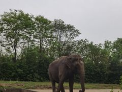 -合肥野生动物园