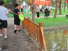 -草根堂农场