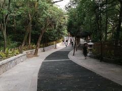-灵岩山风景区