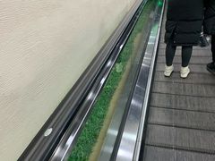 -世纪家家福生活广场(和义店)