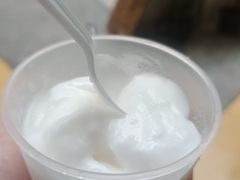 -洪馨椰子