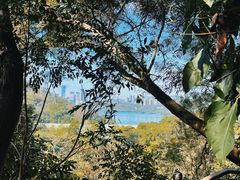 -深圳仙湖植物园