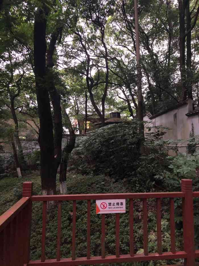 枫林宾馆-"岳麓山下的,很不错的酒店,后面就是山,风."-大众点评移动版