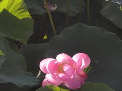 -哈尔滨师范大学(松北校区)