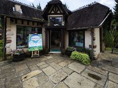 -河口湖八音盒之森美术馆