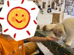 -平行世界·猫咖(首经贸店)