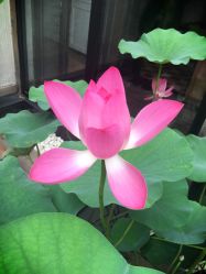 -爱儿美儿童摄影(朝阳公园店)