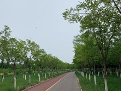 -天津东丽湖风景区