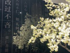 -衢州市博物馆