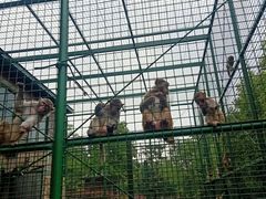 -南京金牛湖风景区