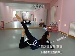 -蒲公英舞蹈艺术中心(促进路校区)