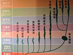 -太奥幻太奇海洋馆