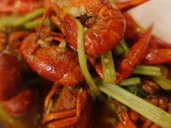 -红盔甲·小龙虾(天钥桥店)