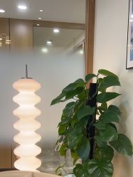 -智美品质医美