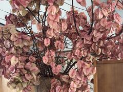 -墨宴(西洋湖店)