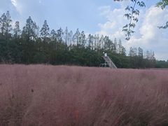 -嘉北郊野公园