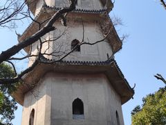 -江心屿景区