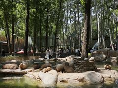 -北京野生动物园