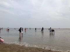 -刘家湾赶海园
