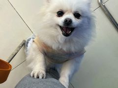 -怪兽屋·羊驼·猫咖·狗咖(俊华广场店)