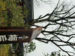 梅后-上海海湾国家森林公园