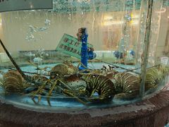 -金龙渔港(双楠店)