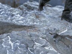 -北京鹫峰国家森林公园