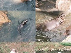 -西霞口神雕山野生动物世界