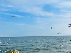 -老虎石海上公园