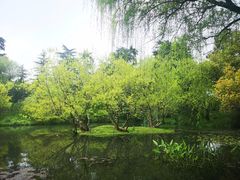 -柳浪闻莺公园