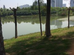 -艾溪湖湿地公园