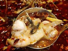-大鱼山房鱼头火锅(老字号品质店)