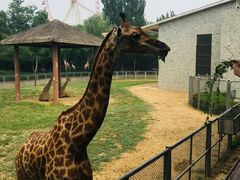 -石家庄市动物园