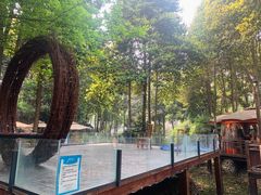 -二荆条·蜀鲜汇城市森林火锅