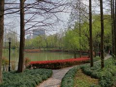 -黄兴公园