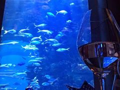 -迪拜帆船酒店海底餐厅