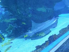 -成都浩海立方海洋公园