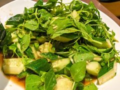 -俭寨大盘鸡·新疆菜·烧烤(博乐店)