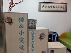 -北京观赏动物医院·24小时大型综合·猫专科·异宠专科