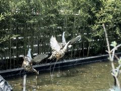 -观宴·品质赣菜(高新大道店)