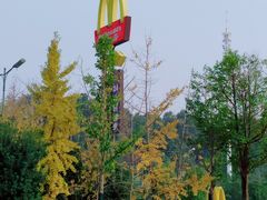 -麦当劳·得来速店(星沙大道店)