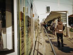 -墨尔本皇家植物园