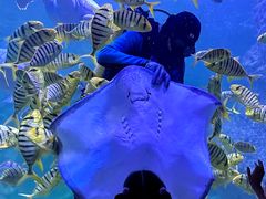 -左海海底世界