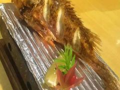 -鲤·鮨KOISUSHI